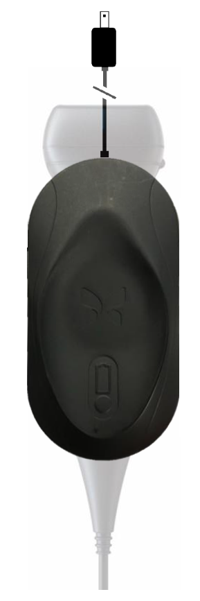 ProbeCharge_3.png